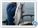 King Salmon