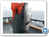 Albacore Tuna