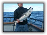 King (Chinook) Salmon