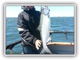 King Salmon