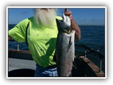 King Salmon