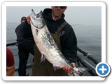 King Salmon