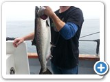 King Salmon