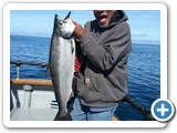 King Salmon