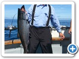 King Salmon