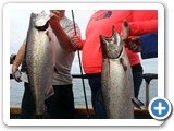 King Salmon